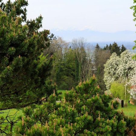 Business Apartment Schwarzach Luaran gambar
