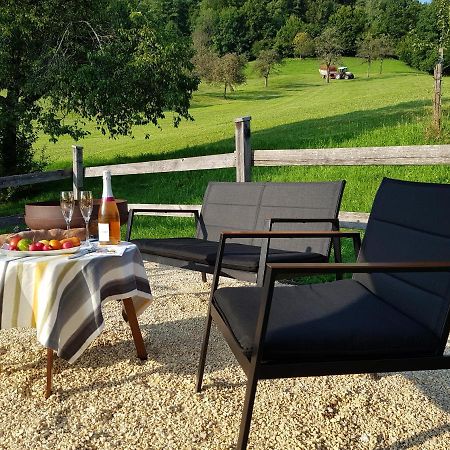 Business Apartment Schwarzach Luaran gambar